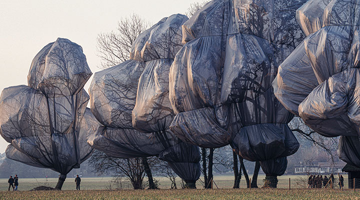 Photograph of trees wrapped beneath a black translucent covering